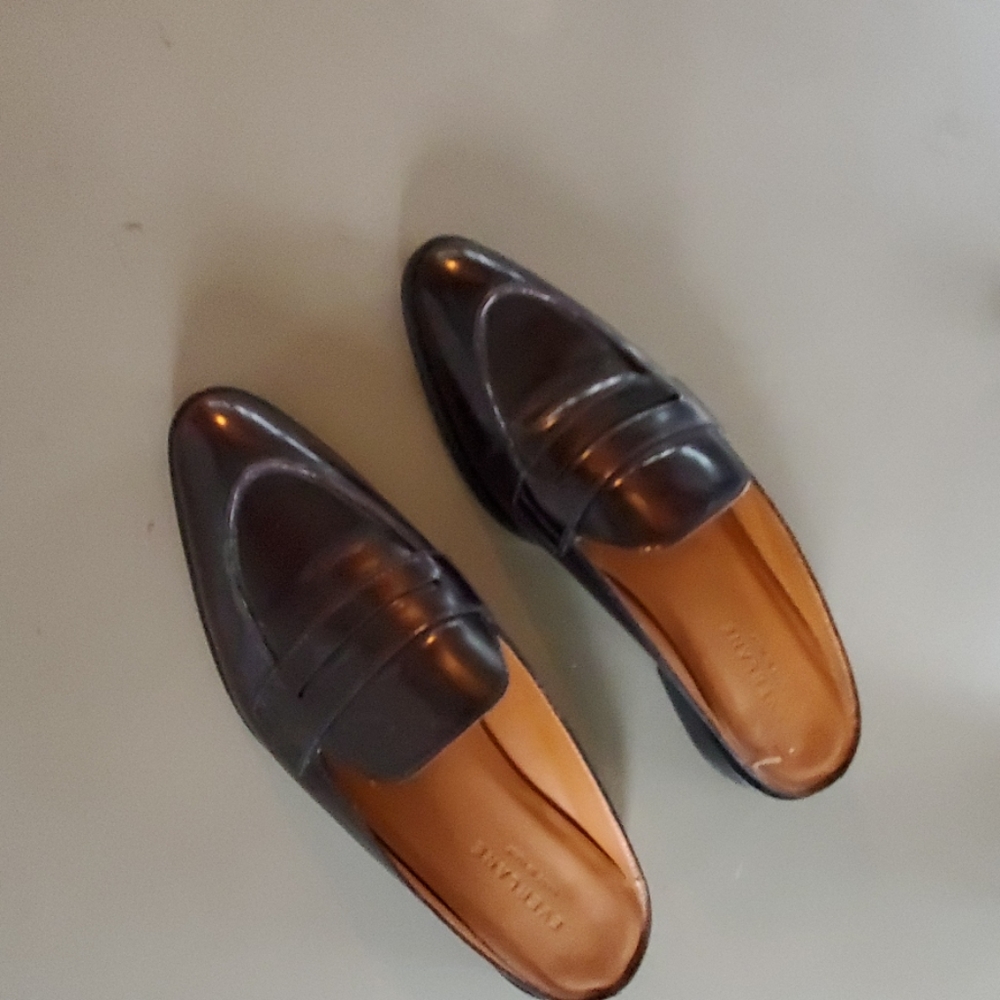 Everlane shoe
